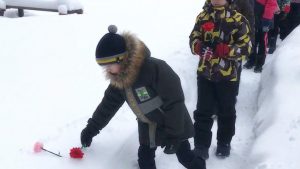 Казлукская библиотека приняла участие в акции «Гвоздика на снегу»