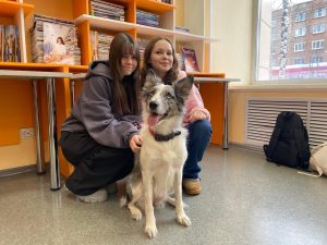 Бесстрашные четвероногие герои в боевом строю