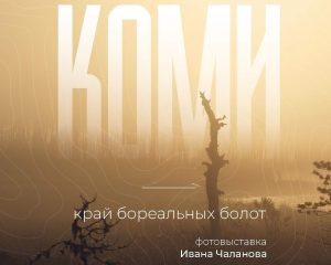 Фотовыставка Ивана Чаланова«Коми – край бореальных болот»