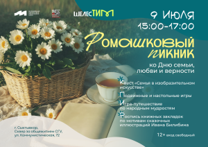 Ромашковый пикник
