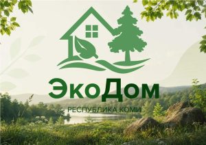 Молодёжка на фестивале «ЭкоДом»